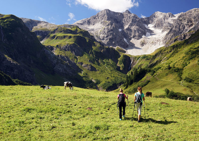 Einkehren zwischen Alpen und Dorf – Camping Hochlitten in Riefensberg im Naturpark Nagelfluhkette