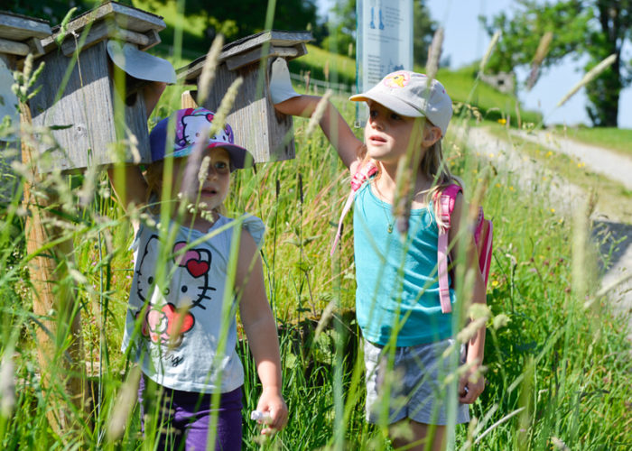 Wandern mit Kindern – Sommer am Camping Hochlitten
